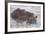 Hippos Swim Beside Each Other, Ngorongoro Conservation Area, Tanzania-James Heupel-Framed Photographic Print