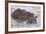 Hippos Swim Beside Each Other, Ngorongoro Conservation Area, Tanzania-James Heupel-Framed Photographic Print