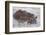 Hippos Swim Beside Each Other, Ngorongoro Conservation Area, Tanzania-James Heupel-Framed Photographic Print