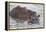 Hippos Swim Beside Each Other, Ngorongoro Conservation Area, Tanzania-James Heupel-Framed Premier Image Canvas