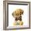 Hipster Retriever Puppy-Lanie Loreth-Framed Art Print