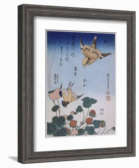 Hirondelle et pie sur fraisier et bégonia-Katsushika Hokusai-Framed Giclee Print