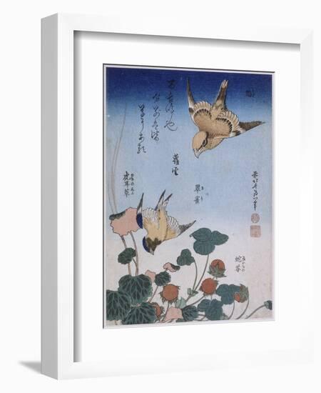 Hirondelle et pie sur fraisier et bégonia-Katsushika Hokusai-Framed Giclee Print