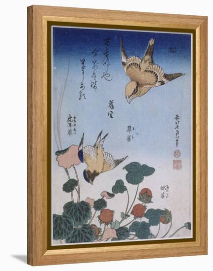 Hirondelle et pie sur fraisier et bégonia-Katsushika Hokusai-Framed Premier Image Canvas