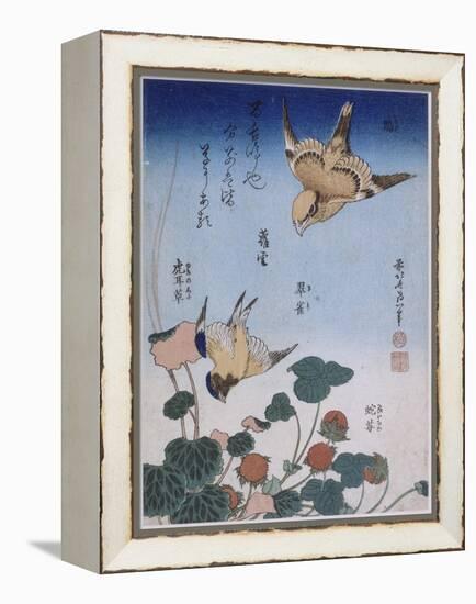 Hirondelle et pie sur fraisier et bégonia-Katsushika Hokusai-Framed Premier Image Canvas