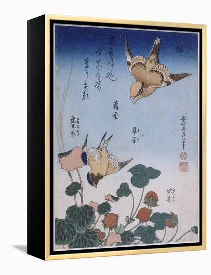 Hirondelle et pie sur fraisier et bégonia-Katsushika Hokusai-Framed Premier Image Canvas