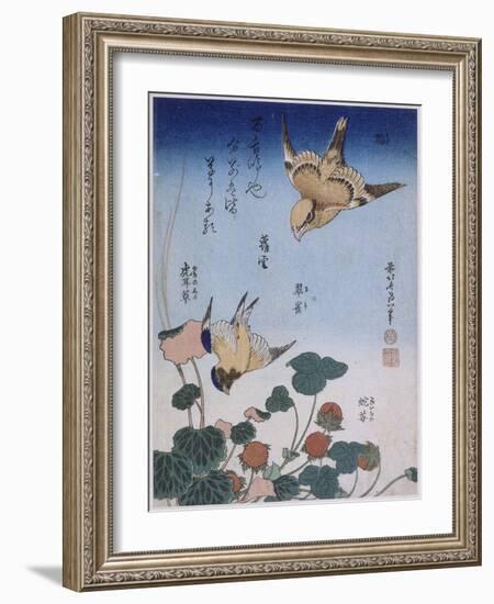 Hirondelle et pie sur fraisier et bégonia-Katsushika Hokusai-Framed Giclee Print