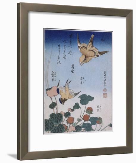 Hirondelle et pie sur fraisier et bégonia-Katsushika Hokusai-Framed Giclee Print