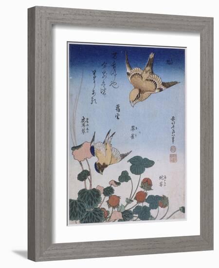 Hirondelle et pie sur fraisier et bégonia-Katsushika Hokusai-Framed Giclee Print