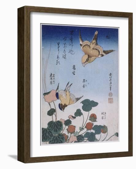 Hirondelle et pie sur fraisier et bégonia-Katsushika Hokusai-Framed Giclee Print