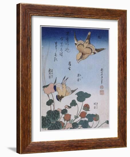 Hirondelle et pie sur fraisier et bégonia-Katsushika Hokusai-Framed Giclee Print