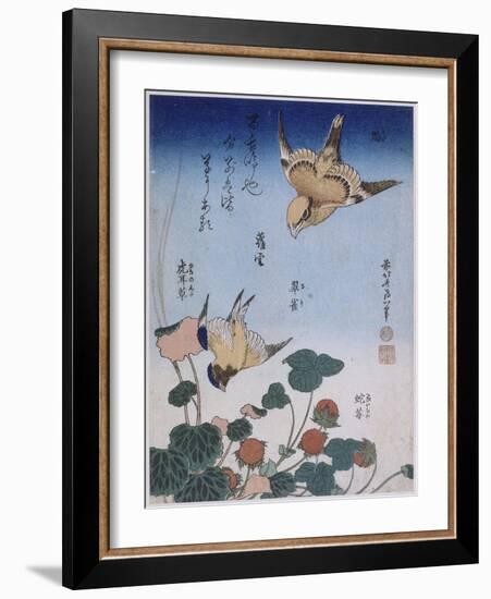 Hirondelle et pie sur fraisier et bégonia-Katsushika Hokusai-Framed Giclee Print