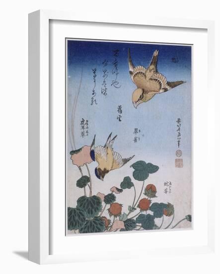 Hirondelle et pie sur fraisier et bégonia-Katsushika Hokusai-Framed Giclee Print