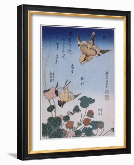 Hirondelle et pie sur fraisier et bégonia-Katsushika Hokusai-Framed Giclee Print