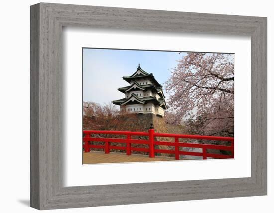 Hirosaki Castle and Cherry Blossoms-tamikosan-Framed Photographic Print