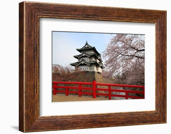 Hirosaki Castle and Cherry Blossoms-tamikosan-Framed Photographic Print