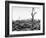 Hiroshima in Ruins Following the Atomic Bomb, Dropped at End of WWII-Bernard Hoffman-Framed Photographic Print