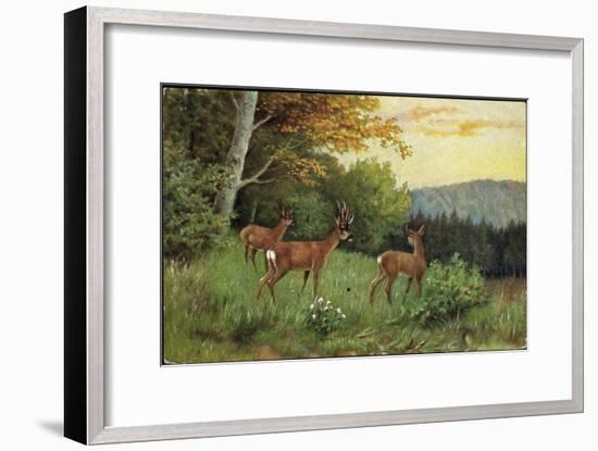 Hirsche, Junge Rehkitze Und Hirsche Am Waldesrand-null-Framed Giclee Print