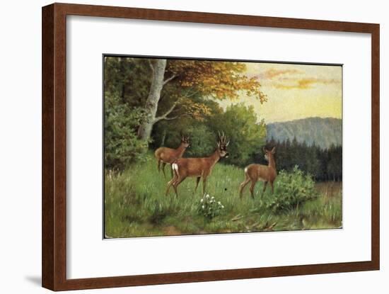 Hirsche, Junge Rehkitze Und Hirsche Am Waldesrand-null-Framed Giclee Print