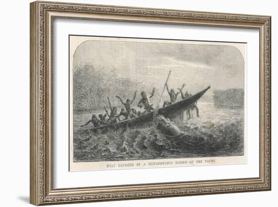 His Boat is Rammed by a Hippopotamus Displeased Because Its Young Have Been Shot by the Expedition-null-Framed Art Print
