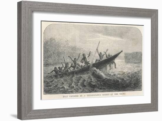 His Boat is Rammed by a Hippopotamus Displeased Because Its Young Have Been Shot by the Expedition-null-Framed Art Print