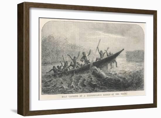 His Boat is Rammed by a Hippopotamus Displeased Because Its Young Have Been Shot by the Expedition-null-Framed Art Print