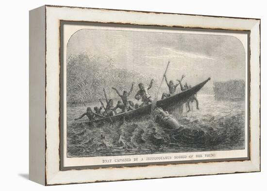 His Boat is Rammed by a Hippopotamus Displeased Because Its Young Have Been Shot by the Expedition-null-Framed Stretched Canvas