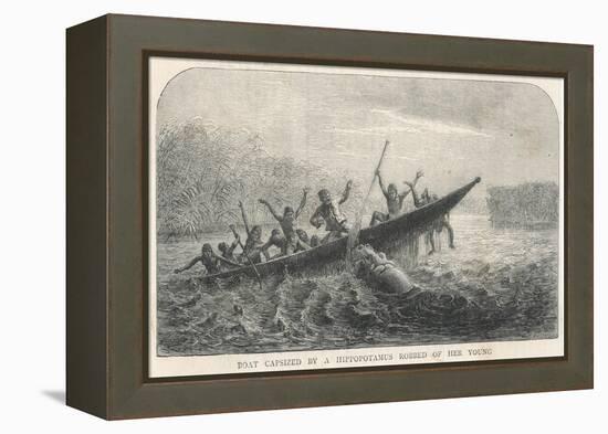 His Boat is Rammed by a Hippopotamus Displeased Because Its Young Have Been Shot by the Expedition-null-Framed Stretched Canvas