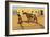 His First Lesson-Frederic Sackrider Remington-Framed Art Print