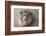 His Majesty-Kalon Baughan-Framed Giclee Print