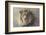 His Majesty-Kalon Baughan-Framed Giclee Print