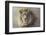 His Majesty-Kalon Baughan-Framed Giclee Print