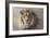 His Majesty-Kalon Baughan-Framed Giclee Print