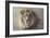 His Majesty-Kalon Baughan-Framed Giclee Print