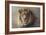 His Majesty-Kalon Baughan-Framed Art Print