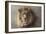 His Majesty-Kalon Baughan-Framed Art Print