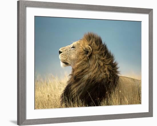 His Majesty-null-Framed Art Print
