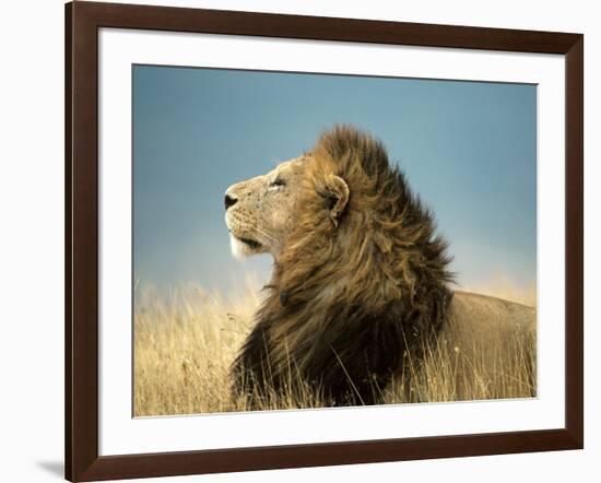 His Majesty-null-Framed Art Print