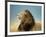 His Majesty-null-Framed Art Print