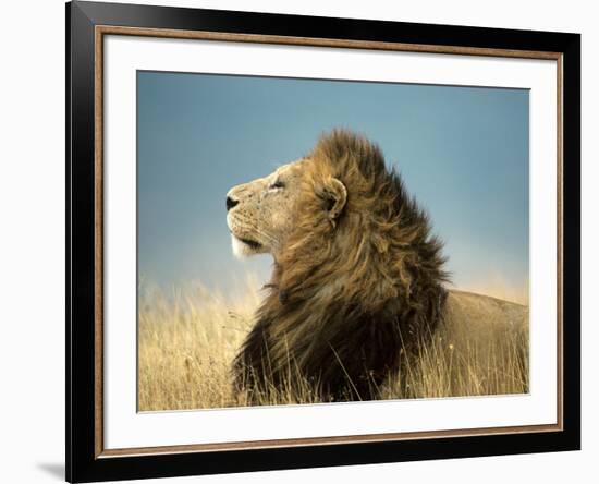 His Majesty-null-Framed Art Print