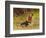 His Only Friend-Briton Rivière-Framed Giclee Print