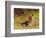 His Only Friend-Briton Rivière-Framed Giclee Print