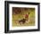 His Only Friend-Briton Rivière-Framed Giclee Print