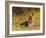 His Only Friend-Briton Rivière-Framed Giclee Print