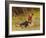 His Only Friend-Briton Rivière-Framed Giclee Print