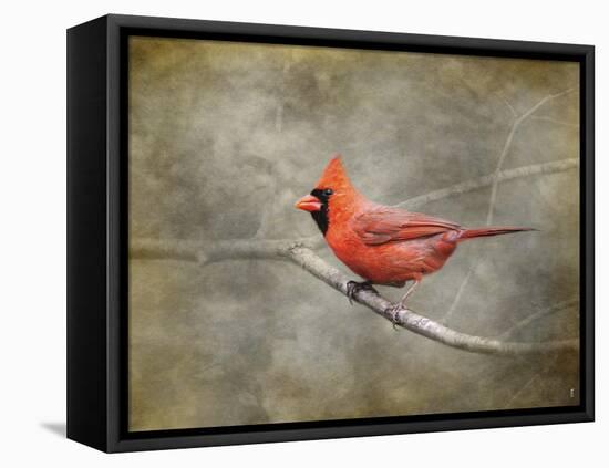 His Red Glory Cardinal-Jai Johnson-Framed Premier Image Canvas