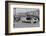 Hispano-Suiza 30 hp of M Graham-White at the Southport Rally, 1928-Bill Brunell-Framed Photographic Print