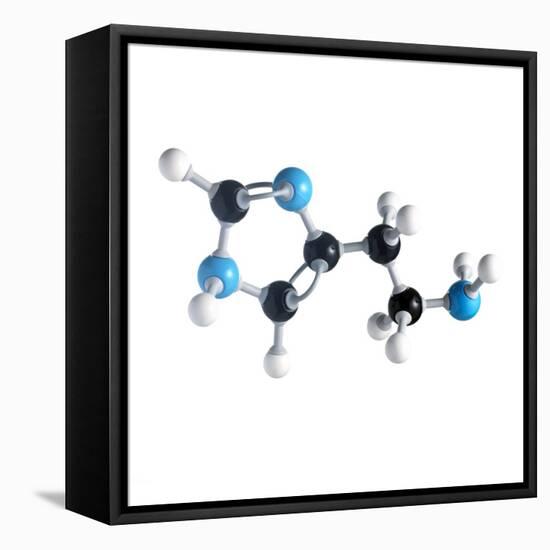 Histamine Molecule-Science Photo Library-Framed Premier Image Canvas