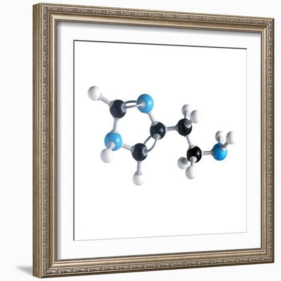 Histamine Molecule-Science Photo Library-Framed Premium Photographic Print