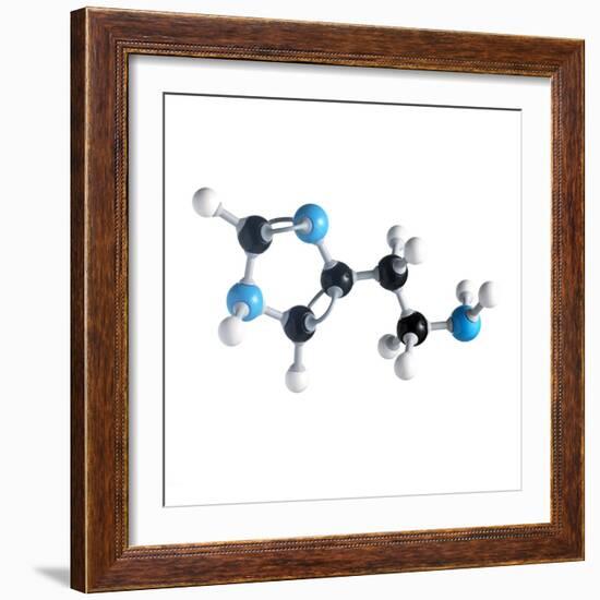 Histamine Molecule-Science Photo Library-Framed Premium Photographic Print